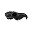 3D-printed fox skull for self-painting (16cm)